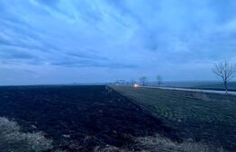 Oportunitate investiție, teren 5000 mp, toate utilitățile