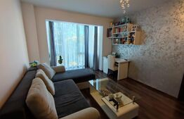 Apartament de 2 camere, zona Brazda-Simplon