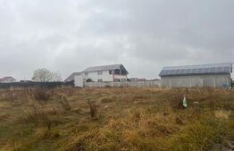 Teren intravilan 500 mp in Ghercesti 