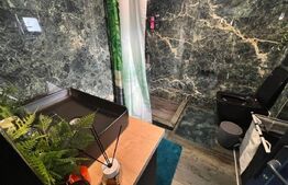 Proprietate zona Carpenului/Garlesti, doua case+350 mp teren