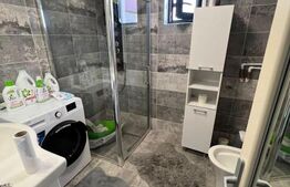 Proprietate zona Carpenului/Garlesti, doua case+350 mp teren