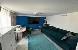 Proprietate zona Carpenului/Garlesti, doua case+350 mp teren