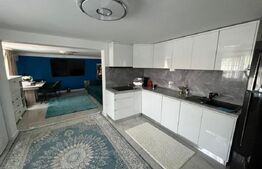 Proprietate zona Carpenului/Garlesti, doua case+350 mp teren