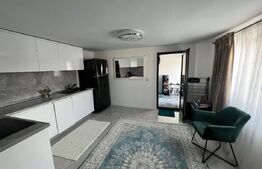 Proprietate zona Carpenului/Garlesti, doua case+350 mp teren