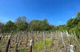 Proprietate la tara, Casa P+E, 6 dormitoare, Bulzesti Dolj