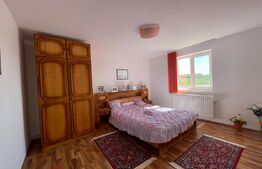 Proprietate la tara, Casa P+E, 6 dormitoare, Bulzesti Dolj