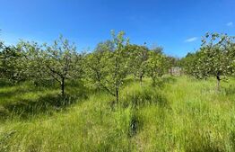 Proprietate la tara, Casa P+E, 6 dormitoare, Bulzesti Dolj