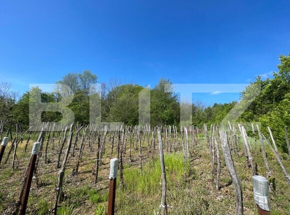 Casa de vânzare 7 camere Exterior  Nord - 142444CV | BLITZ Craiova | Poza3