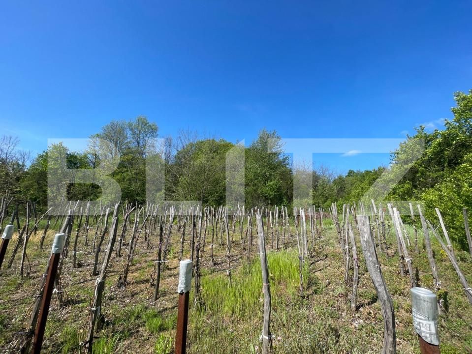 Casa de vânzare 7 camere Exterior  Nord - 142444CV | BLITZ Craiova | Poza3