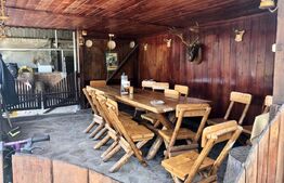 Casa tip pensiune, langa parcul Tineretului, 534mp utili, 2000 mp teren