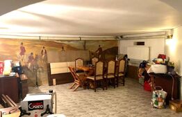 Casa tip pensiune, langa parcul Tineretului, 534mp utili, 2000 mp teren