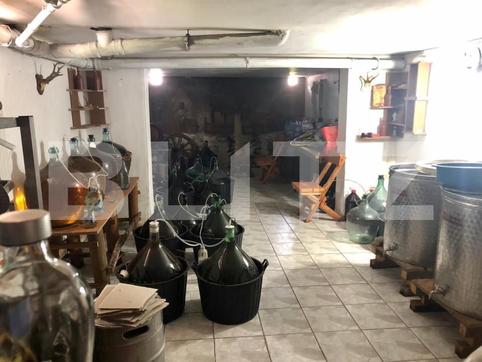 Casa de vânzare 13 camere Mofleni - 142676CV | BLITZ Craiova | Poza13