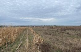 Teren extravilan de 2539 mp in Dudovicesti