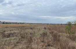 Teren extravilan de 2539 mp in Dudovicesti
