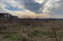 Teren intravilan de 9000 mp cu toate utilitățile, situat în zona Craiova Sud