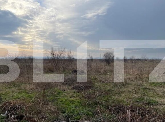 Teren de vânzare Nisipului - 142684TV | BLITZ Craiova | Poza3