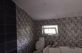 Casă individuală P+M, cu 4 camere, 137 mp, curte 679 mp, Malu Mare 