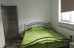 Casă individuală P+M, cu 4 camere, 137 mp, curte 679 mp, Malu Mare 