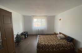 Casă modernă 111 mp Su, P+1, teren 300 mp, zona Opanez