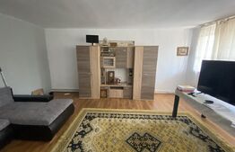 Casă modernă 111 mp Su, P+1, teren 300 mp, zona Opanez