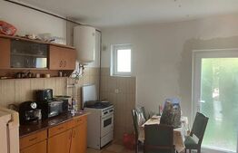 Casă modernă 111 mp Su, P+1, teren 300 mp, zona Opanez