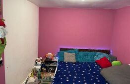 Casă parter cu 90mp utili și 378mp de teren situată în zona Râului/Brestei