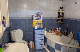 Casă parter cu 90mp utili și 378mp de teren situată în zona Râului/Brestei