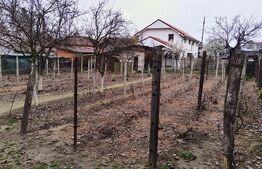 Casă S+P+1 cu 7 camere și teren aferent de 884mp situată în cartierul Făcăi