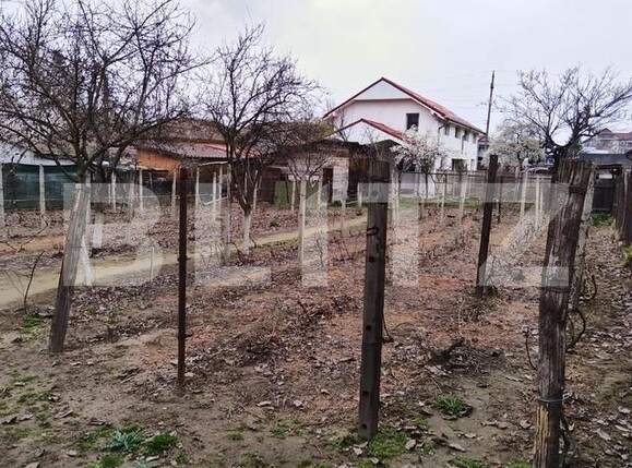 Casa de vânzare 7 camere Exterior Sud - 142709CV | BLITZ Craiova | Poza10