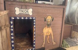 Oportunitate! Parte din duplex modern în regim P+M, teren de 400 mp,Semicentral