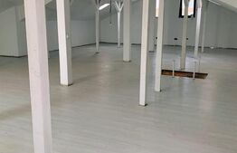 Casa nouă eleganta P+M, 185 mp utili si 520 mp teren, Preajba