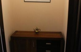 Apartament de 2 camere spatios, cu terasa de 37 mp, zona Toporasi