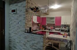 Apartament in vila 3 camere decomandat cu gradina, Toporasi