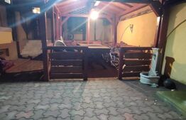 Apartament in vila 3 camere decomandat cu gradina, Toporasi