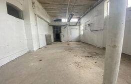 Hala industriala, 255 mp, zona Mofleni