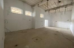 Hala industriala, 255 mp, zona Mofleni