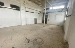 Hala industriala, 255 mp, zona Mofleni