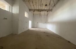 Hala industriala, 255 mp, zona Mofleni