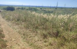 Teren 12.000 mp extravilan, parcelabil ,zona Șimnicul de Jos 