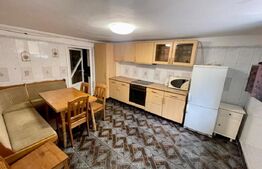 Casa de 210 mp, curte cu terasa, centrala termica, pretabil muncitori