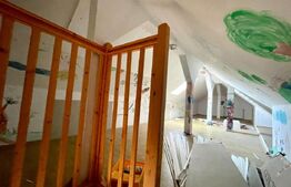 Casa P+E 176 mp utili plus casa stil cabana 113 mp, teren de 930 mp, zona Metro!