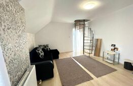 Casa P+E 176 mp utili plus casa stil cabana 113 mp, teren de 930 mp, zona Metro!