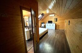 Casa P+E 176 mp utili plus casa stil cabana 113 mp, teren de 930 mp, zona Metro!