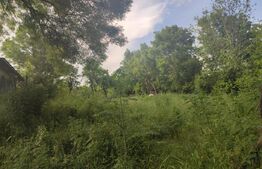 Teren 1270 mp, Lazu jud.Dolj 