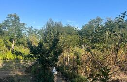 Teren 1000 mp, intravilan, zona Izvorul Rece !!