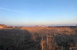 Teren intravilan 5.000 mp la strada principală, Cârcea