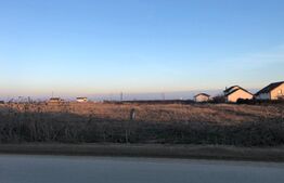 Teren intravilan 5.000 mp la strada principală, Cârcea