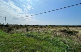 Teren intravilan 4.965 mp, Brădești