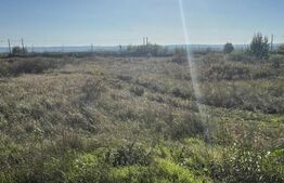 Teren intravilan 4.965 mp, Brădești