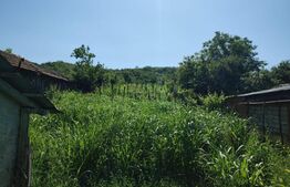 Casă bătrânească cu teren 1200 mp , Mihăița 